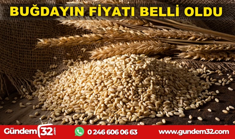 ISPARTADA BUĞDAYIN BİRİM FİYATI 9,39 TL'DEN SATILDI