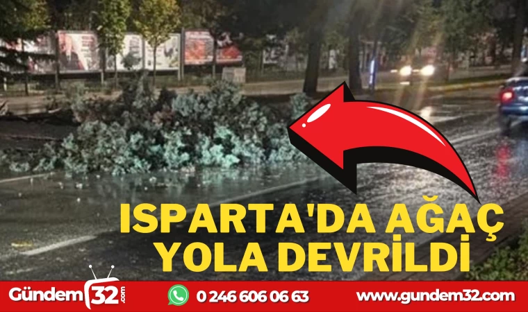 ISPARTA'DA FIRTINA AĞAÇ DEVİRDİ