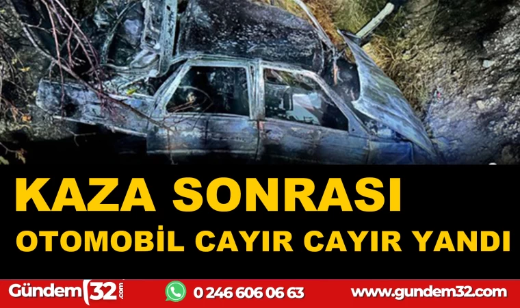 KAZA SONRASI OTOMOBİL CAYIR CAYIR YANDI