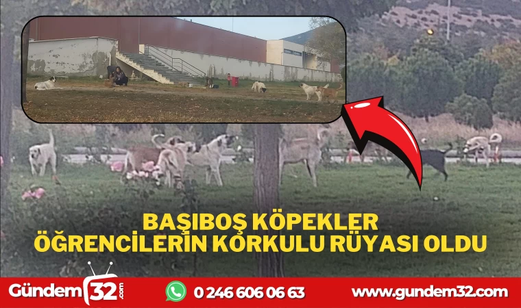 ÖĞRENCİLERİN KORKULU RÜYASI OLDU