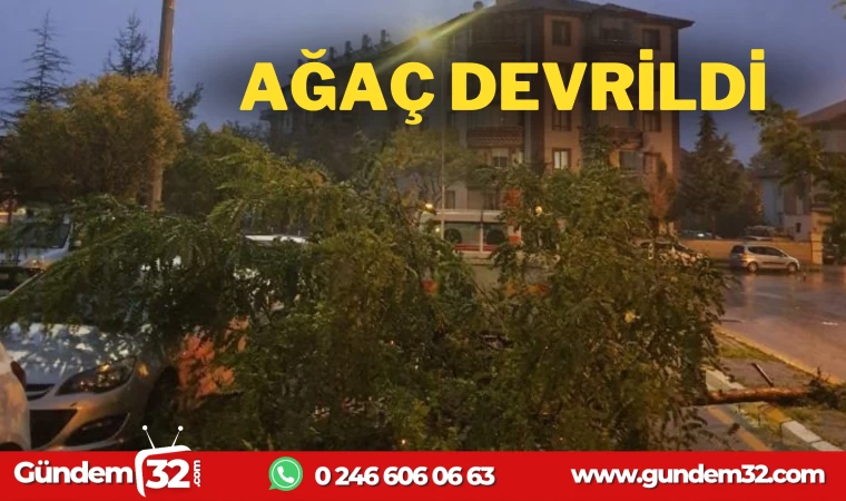 RÜZGAR AĞACI DEVİRDİ