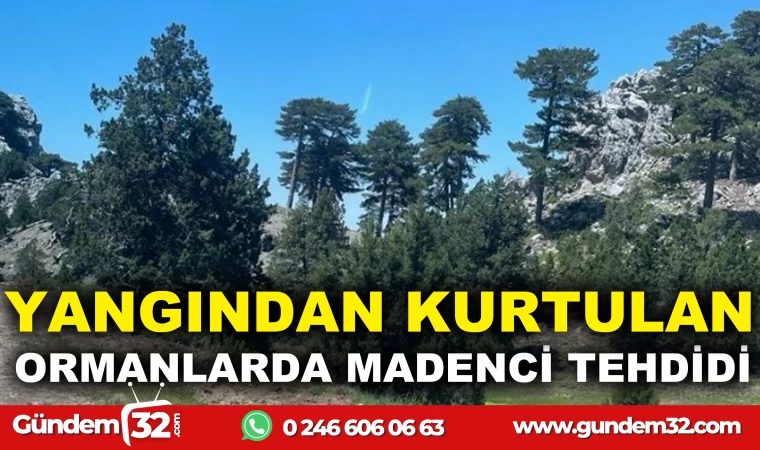 YANGINDAN KURTULAN ORMANLARDA MADENCİ TEHDİDİ