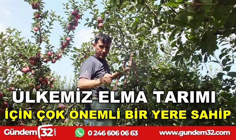 ISPARTA ELMASI EKONOMİYE MİLYARLAR KAZANDIRIYOR