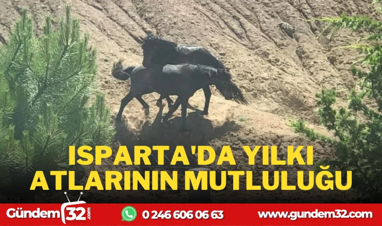 ISPARTA'DA YILKI ATLARININ MUTLULUĞU