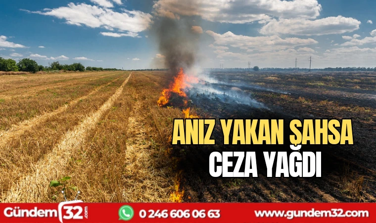 Anız yakan şahsa ceza yağdı