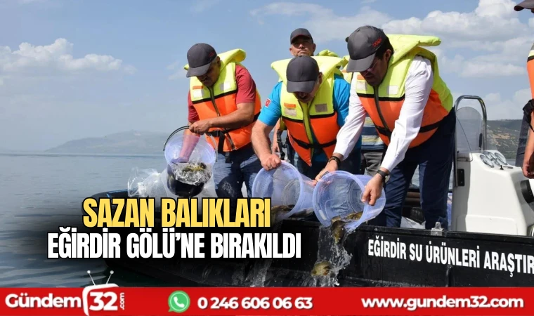 Sazan balıkları Eğirdir Gölü’ne bırakıldı