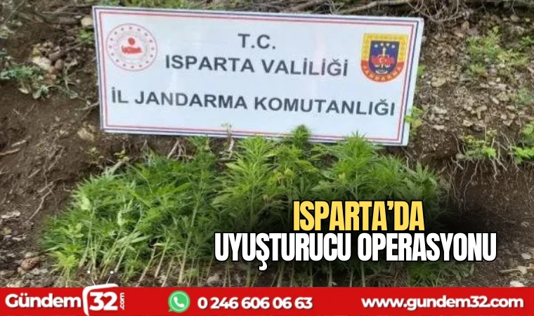 Isparta'da uyuşturucu operasyonu