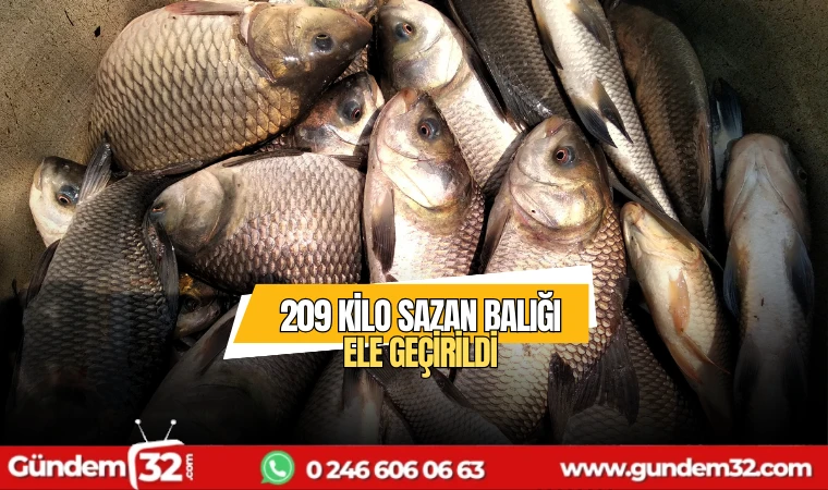 209 kilo sazan balığı ele geçirildi