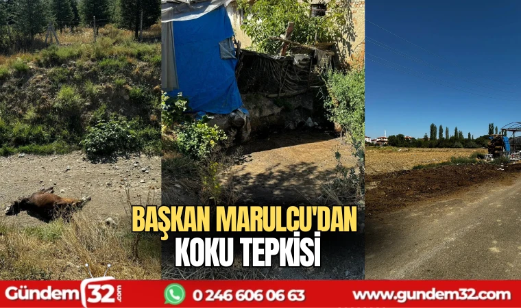 Başkan Marulcu'dan koku tepkisi