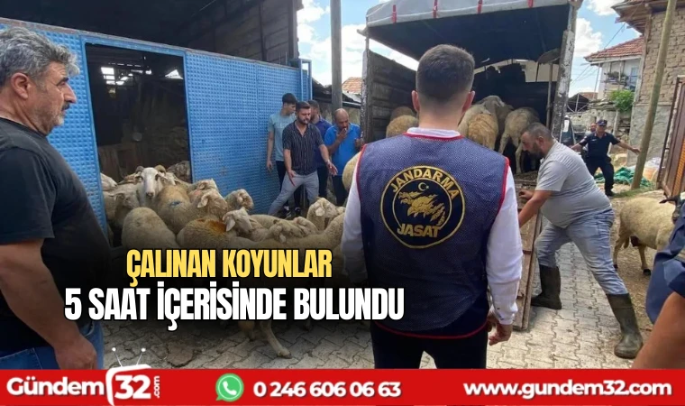 Çalınan koyunlar 5 saat içerisinde bulundu