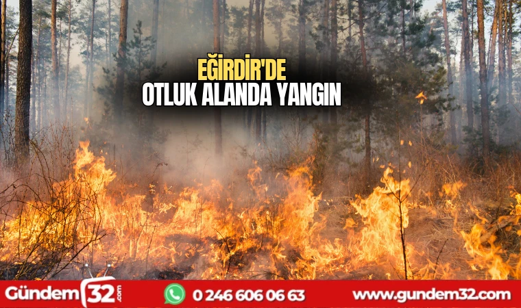 Eğirdir'de otluk alanda yangın