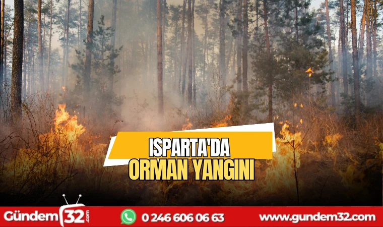 Isparta'da orman yangını