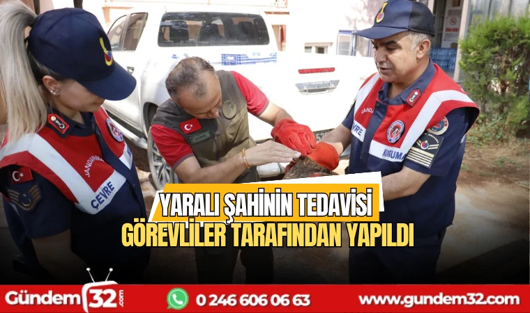 Yaralı şahinin tedavisi görevliler tarafından yapıldı