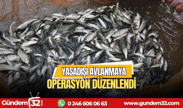 Yasadışı avlanmaya operasyon düzenlendi