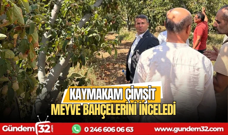 Kaymakam Çimşit meyve bahçelerini inceledi