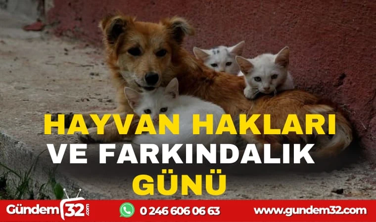 4 EKİM HAYVANLAR GÜNÜ