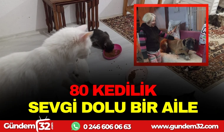 80 KEDİLİK SEVGİ DOLU BİR AİLE