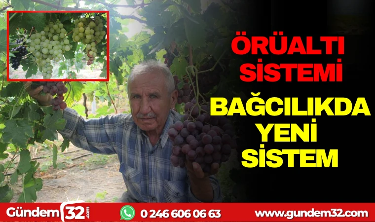 ÖRTÜALTI SİSTEM: BAĞCILIKDA YENİ SİSTEM