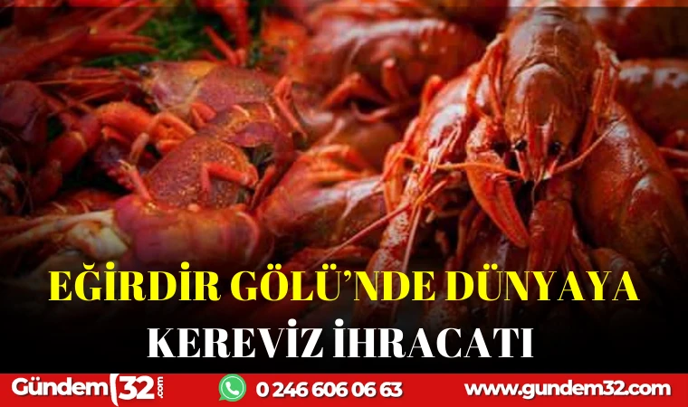 EĞİRDİR GÖLÜ'NDEN DÜNYAYA KEREVİZ İHRACATI