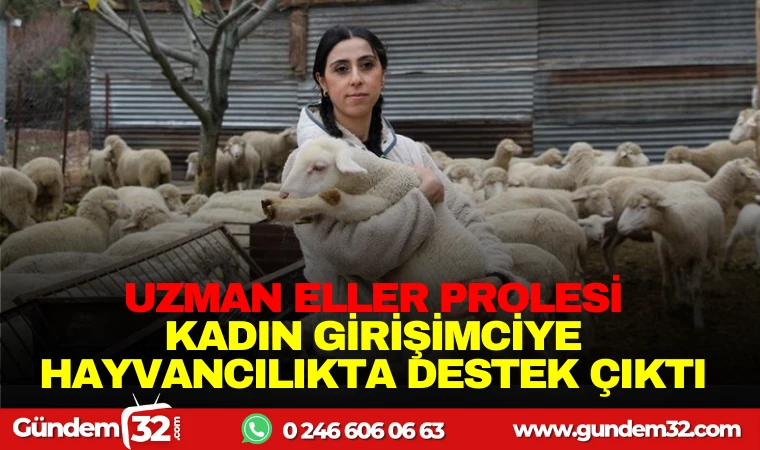 UZMAN ELLER PROJESİ KADIN GİRİŞİMCİYE HAYVANCILIKTA ZİRVEYE TAŞIDI