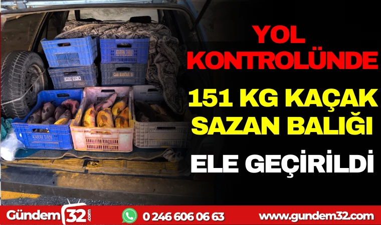 YOL KONTROLÜNDE 151 KG KAÇAK SAZAN BALIĞINA EL KONULDU