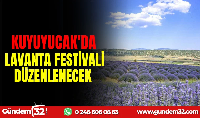 KUYUCAK'DA LAVANTA FESTİVALİ DÜZENLENECEK