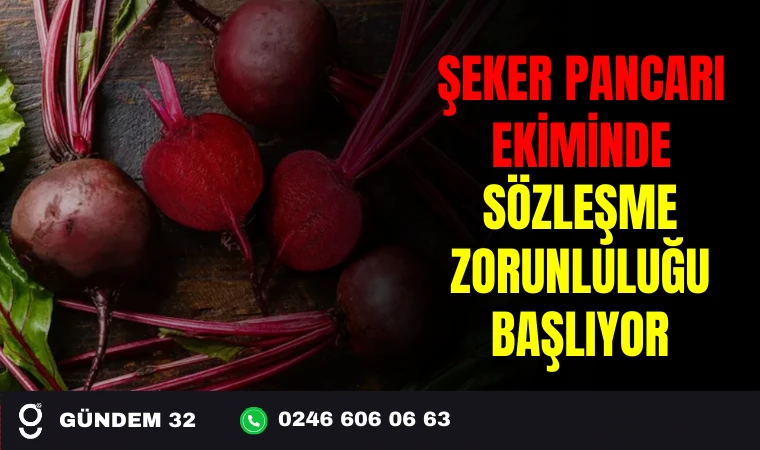 ŞEKER PANCARI EKİMİNDE SÖZLEŞME ZORUNLULUĞU BAŞLIYOR