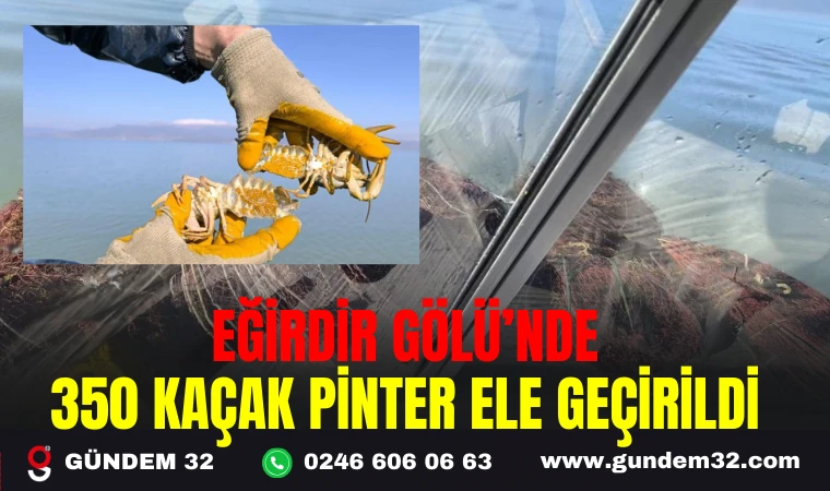 EĞİRDİR GÖLÜ’NDE 350 KAÇAK Pinter ELE GEÇİRİLDİ