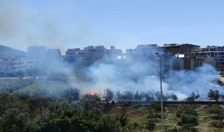 Antalya'da sazlık alandaki yangın kontrol altına alındı