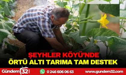 ŞEYHLER KÖYÜ’NDE ÖRTÜ ALTI TARIMA TAM DESTEK